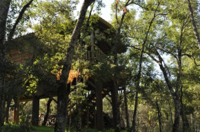 Los Nidos De Santa Maria, Arroyo Frio